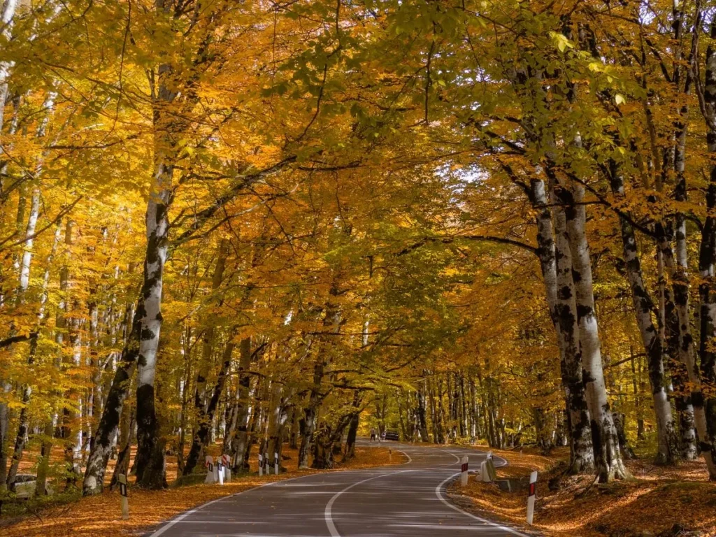 WELLNESS & NATURE